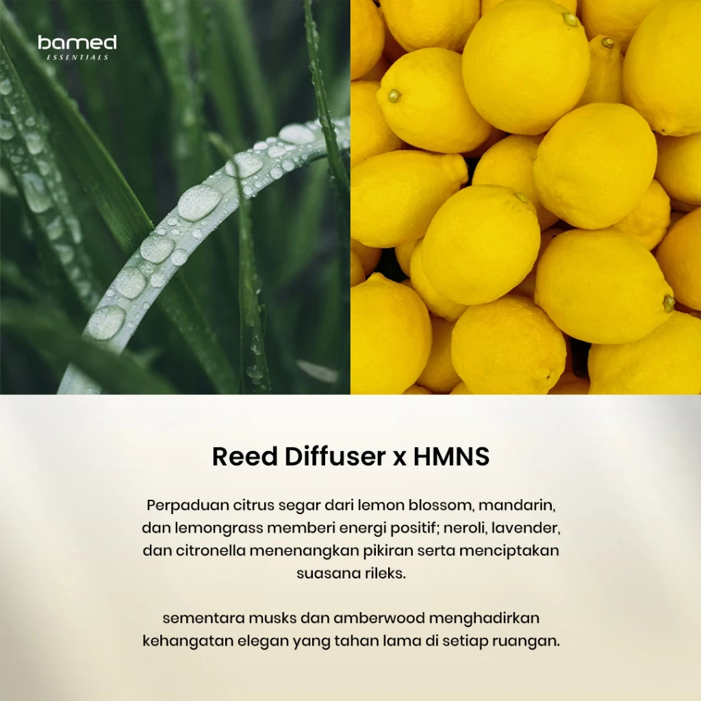 Home of Humans x BAMED - A Room of Zen (Lounge Reed Diffuser)